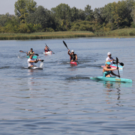 paddle-group