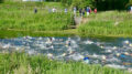 Swim and Summerstart at Brigg